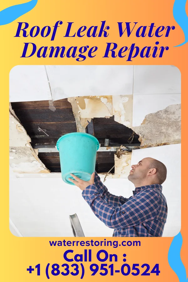 Roof Leak Water Damage Repair in Sumner, GA